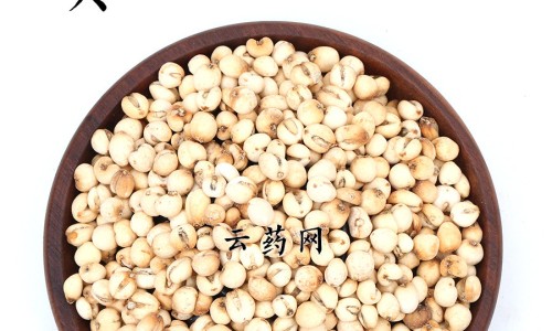 生乳香的功效与作用网 - 中药乳香的功效与作用,生乳香的功效与作用是什么